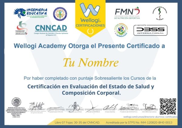 Certificado. Wellogi Academy