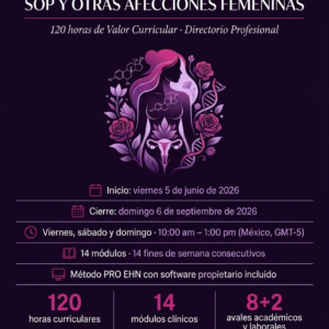 Imagen de producto del Diplomado en SOP