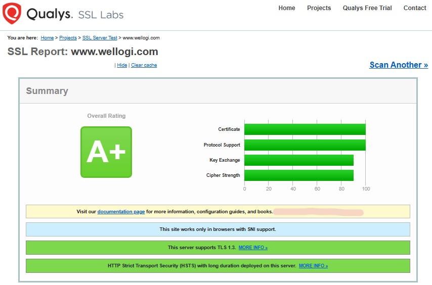 SSL Labs analysis 